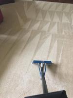 Carpet Steam Cleaning  image 4